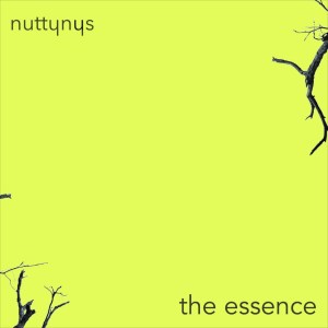 Nutty Nys – The Essence Nutty Nys – The Essence
