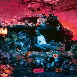 Album: Tayc - Fleur froide Album: Tayc - Fleur froide