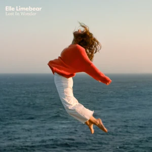 Album: Elle Limebear - Lost in Wonder Album: Hopsin – No Shame