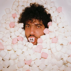 you single benny blanco marshmello vance joy you single benny blanco marshmello vance joy