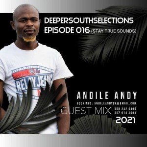 andileandy – dss episode 016 guest mix andileandy – dss episode 016 guest mix