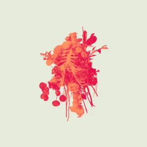 graves into gardens morning evening elevation worship graves into gardens morning evening elevation worship