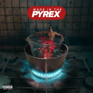 made in the pyrex bonus track digga d made in the pyrex bonus track digga d