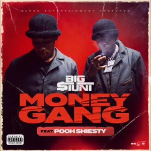 money gang feat. pooh shiesty single big tunt money gang feat. pooh shiesty single big tunt