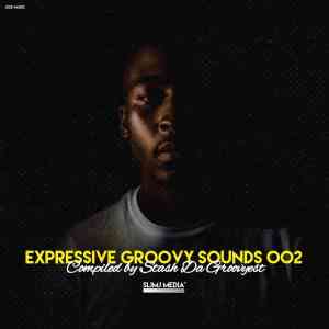 Stash Da Groovyest – Expressive Groovy Sounds 002 Mix stash da groovyest – expressive groovy sounds 002 mix