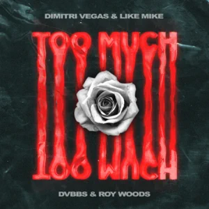 too much single dimitri vegas like mike dvbbs roy woods too much single dimitri vegas like mike dvbbs roy woods