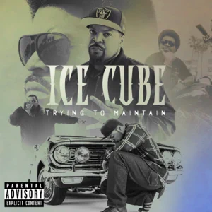 trying to maintain single ice cube trying to maintain single ice cube