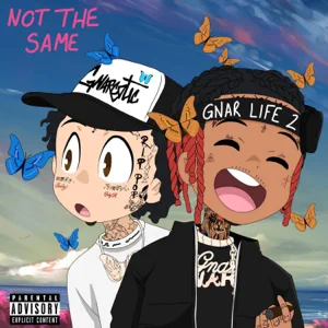 not the same single lil gnar lil skies not the same single lil gnar lil skies