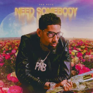 need somebody single pnb rock need somebody single pnb rock