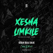 ceekay dlaliculo – xesha limkile akuxhelwa vox ceekay dlaliculo – xesha limkile akuxhelwa vox