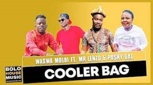 waswa moloi – cooler bag ft mr lenzo poshy gal waswa moloi – cooler bag ft mr lenzo poshy gal