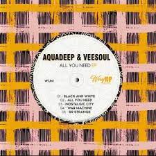 aquadeep – all you need ft. veesoul aquadeep – all you need ft. veesoul