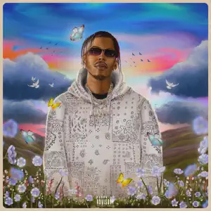 Album: FLVME - GERMANDER II GERMANDER II FLVME
