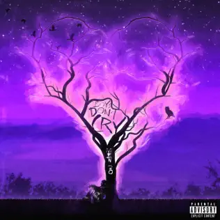 Album: Toosii - Boys Don’t Cry: Men Do Boys Dont Cry Men Do Toosii