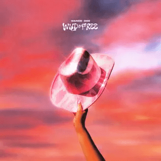 wande – wild free feat. doe wande – wild free feat. doe