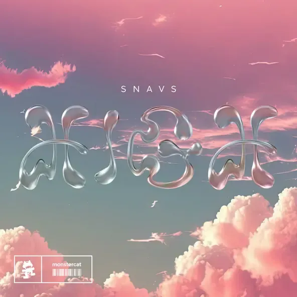 Snavs - High Snavs – High