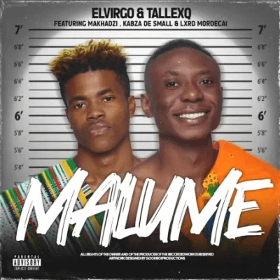 elvirgo tallexq chicco – malume 2.0 ft makhadzi kabza de small lxrd mordecai elvirgo tallexq chicco – malume 2.0 ft makhadzi kabza de small lxrd mordecai