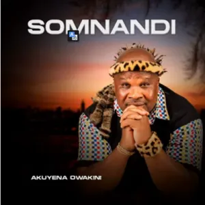 Somnandi – Akukhokhelwe Amatshitshi Somnandi – Akukhokhelwe Amatshitshi
