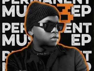 Dlala Thukzin - Next Level ft Funky QLA Dlala Thukzin – Next Level ft Funky QLA