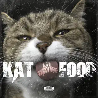 Lil Wayne Kat Food Lil Wayne Kat Food