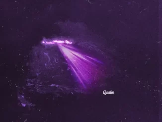 Goosetaf & Nokiaa - Qualm Qualm Single