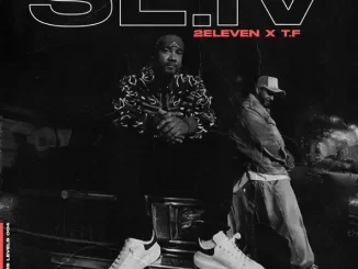 ALBUM: 2 Eleven & T.F - Skanless Levels 4 Skanless Levels 4