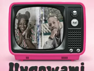Slick Widit & Tsimo - Ungowami Slick Widit & Tsimo – Ungowami