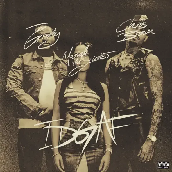 Tee Grizzley IDGAF (feat. Chris Brown and Mariah the Scientist) Tee Grizzley IDGAF (feat. Chris Brown and Mariah the Scientist)
