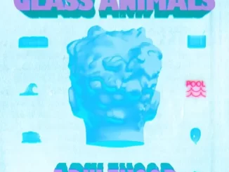 EP: Glass Animals - ADULTHOOD ADULTHOOD EP