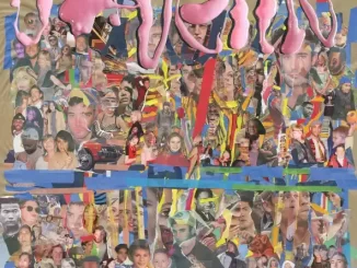 Album: Sufjan Stevens - Javelin Javelin