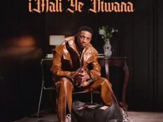 Sam Deep, Eemoh & MaWhoo - iNdaba Yo Thando ft Sipho Magudulela Sam Deep – iMali Ye Ntwana mp3 d