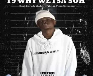 Sizwe Nineteen - 19 Why Wetsa Soh ft. GreedyMeddie, Pitsy & Tumi Sdomane Sizwe Nineteen – 19 Why Wetsa Soh ft. GreedyMeddie, Pitsy & Tumi Sdomane