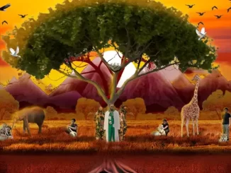 Album: Not3s - Son of the Soil Son of the Soil