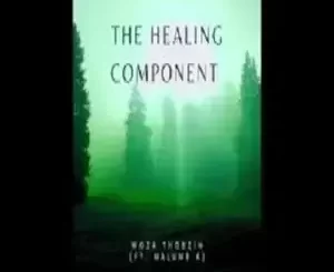 Woza Thobzin - The Healing Component ft. Malume K Woza Thobzin – The Healing Component ft. Malume K