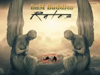 BnM Buddies - Alok & Alan Walker-Headlights (Amapiano remix) (Amapiano remix) ft KIDDO BnM Buddies - No Rules ft Daddy P & Sir Modeva