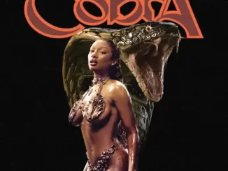 Megan Thee Stallion - Cobra Cobra Single