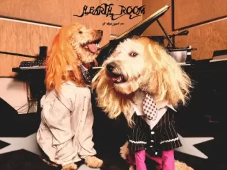 Album: Frost Children - Hearth Room Hearth Room
