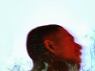 Album: Arin Ray - Platinum Fire (Deluxe) Platinum Fire (Deluxe)