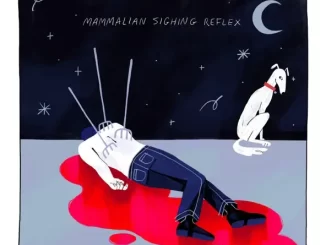 Album: Wilbur Soot - Mammalian Sighing Reflex Wilbur Soot Mammalian Sighing Reflex