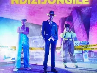 BOOHLE - NDIZIJONGILE (EXTENDED VERSION) FT BRAVO LE ROUX & VILLOSOUL BOOHLE – NDIZIJONGILE (EXTENDED VERSION) FT BRAVO LE ROUX & VILLOSOUL