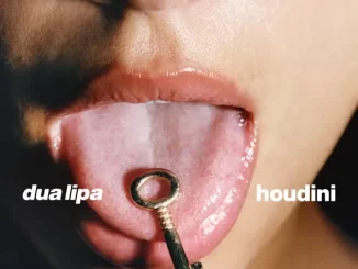 Dua Lipa - Houdini (Extended Edit) Dua Lipa Houdini (Extended Edit)