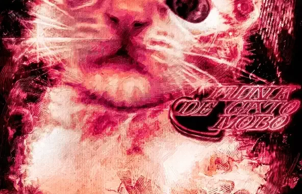 Funk De Gato Mobo Single Funk De Gato Mobo Single