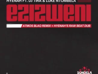 Hyenah - Ezizweni (Hyenah Raw Beat Dub) Ft DJ Tira & Luke Ntombela Hyenah - Ezizweni (Atmos Blaq Remix) Ft Atmos Blaq, Dj Tira & Luke Ntombela