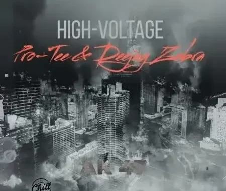 Pro Tee & Deejay Zebra – High Voltage Pro Tee & Deejay Zebra – High Voltage