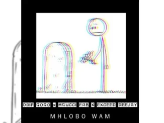v Drip Gogo – Mhlobo Wam ft. Mgucci Fab & Exceed Deejay