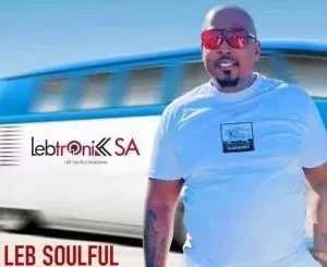 Lebtronik SA - LSS Instrumental Channel 4 Lebtronik SA – LSS Instrumental Channel 4