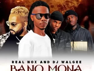 Real Nox - Bano Mona ft DJ Walgee, Daiza & Kota Native Real Nox – Bano Mona ft DJ Walgee, Daiza & Kota Native