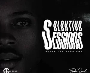 TribeSoul - Selektive Sessions 015 Mix TribeSoul – Selektive Sessions 015 Mix