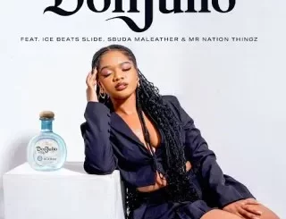 BELLO - Don Julio Ft Ice Beats Slide, Sbuda Maleather & Mr Nation Thingz BELLO – Don Julio Ft Ice Beats Slide, Sbuda Maleather & Mr Nation Thingz