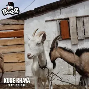 Beast RSA – Kuse Khaya ft. Tribal Beast RSA – Kuse Khaya ft. Tribal